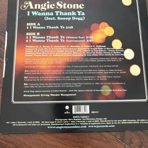 Angie Stone I Wanna Thank Ya Snoop Dogg Vinyl R&B Soul Music - Image 2