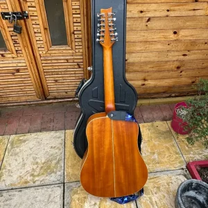 Ashton D25/12NTM 12-String Acoustic Guitar - Image 8