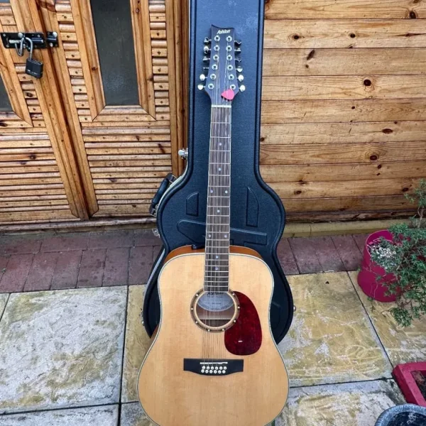 Ashton D25/12NTM 12-String Acoustic Guitar