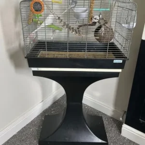 Budgies and their cage - Image 2