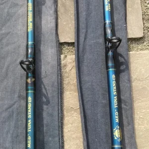 2X Penn Stand-up Game Rods
