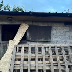 Free wood - Image 2