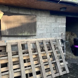 Free wood - Image 3