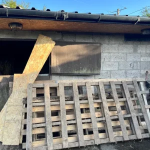 Free wood
