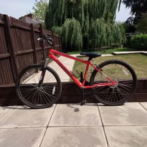 Blizzard pro bike - Image 2
