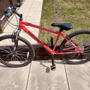 Blizzard pro bike