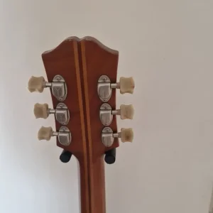 Epiphone Masterbilt Zenith - Image 4