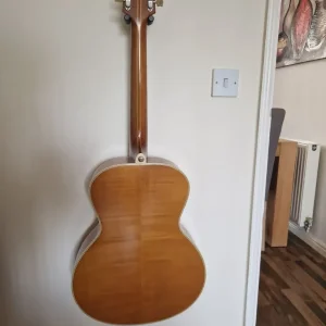 Epiphone Masterbilt Zenith - Image 5