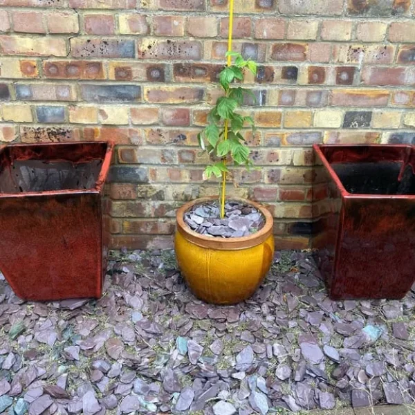 Pair of Glazed Pots