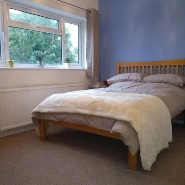 Double room with garden view