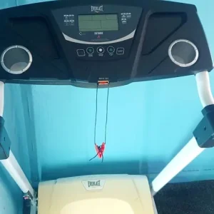 Treadmill EverLast - Image 3