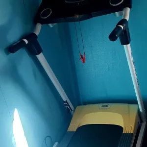 Treadmill EverLast
