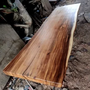 Suar Wood Slab from Bali