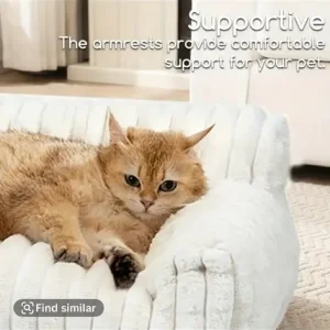 Pet sofa - Image 4