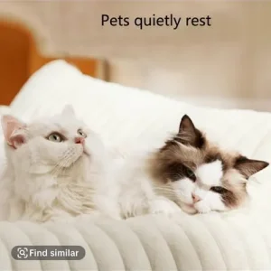 Pet sofa - Image 6