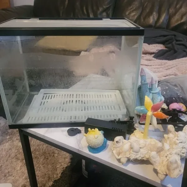 Fish tank 30 x 24 x 18 cm with filter and accessories