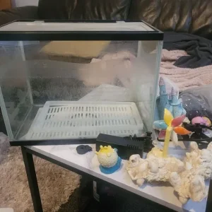 Fish tank 30 x 24 x 18 cm with filter and accessories