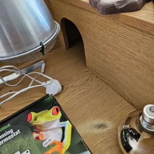 Tortoise table - Image 4