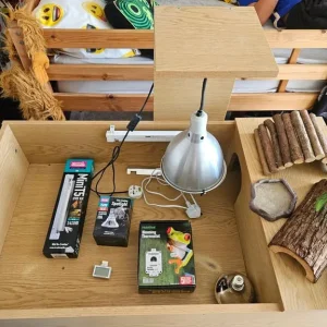 Tortoise table - Image 5