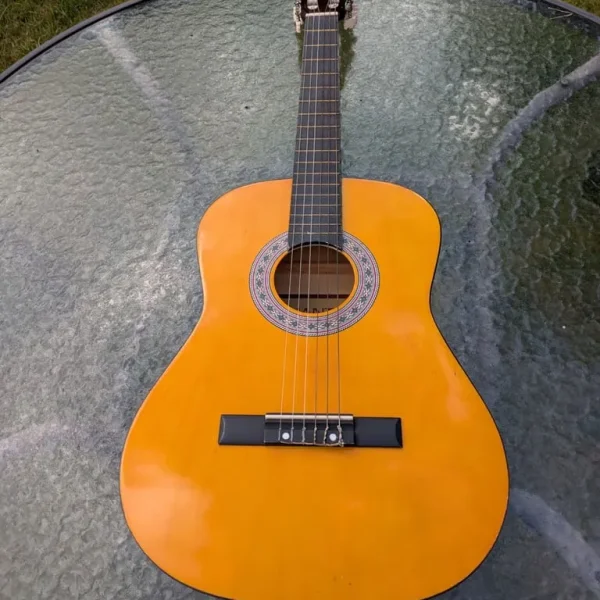 Acoustic guitar