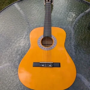 Acoustic guitar