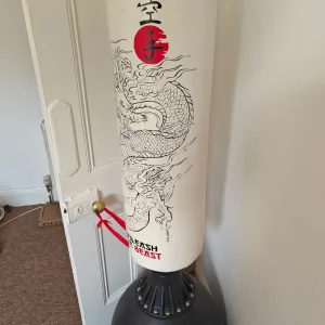 boxing punching bag