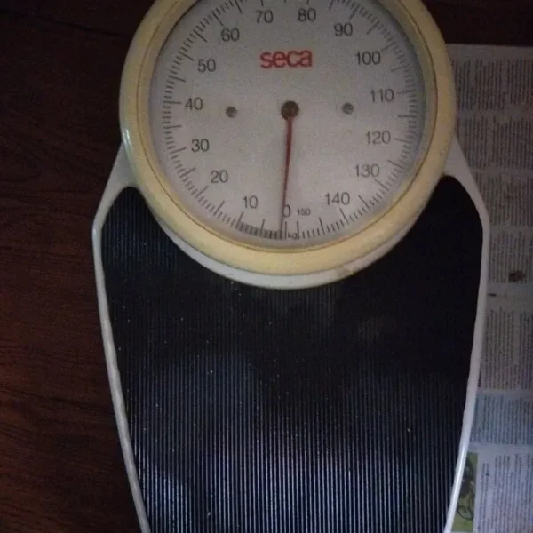 Seca floor scales