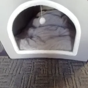 Dogs bed - Image 2