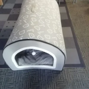 Dogs bed