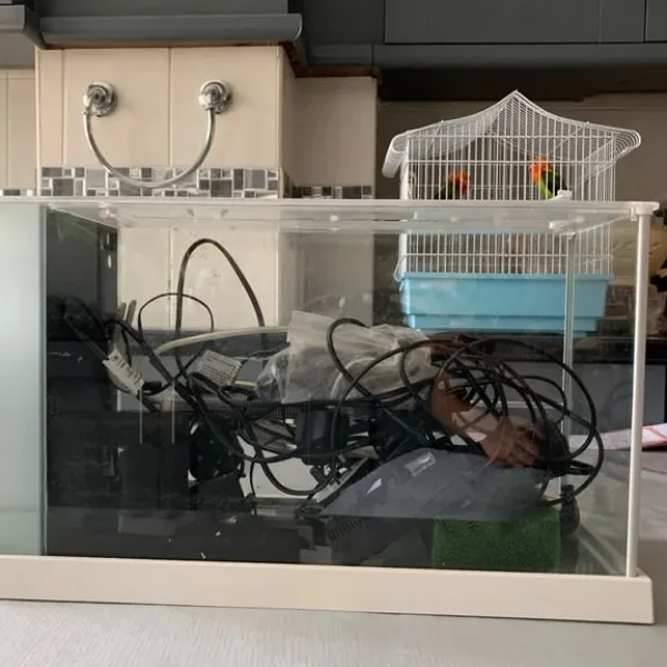 Fish tank with multiple heaters and filters