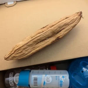 Hamster supplies - Image 4