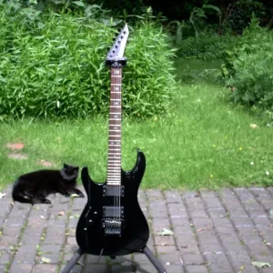 LTD KH202L lefty - Image 2