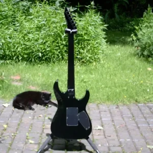 LTD KH202L lefty - Image 3