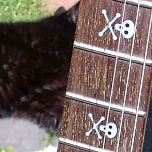 LTD KH202L lefty - Image 7