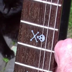 LTD KH202L lefty - Image 8