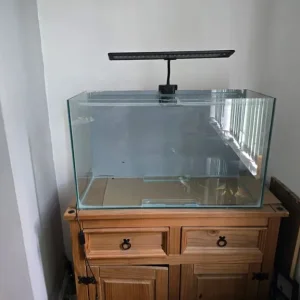 AQUARIUM - Image 5
