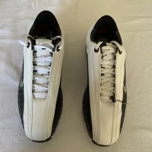 Men’s Nike golf shoes