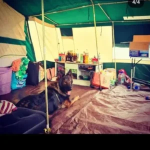 Trailer tent - Image 3