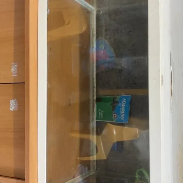 50L fish tank