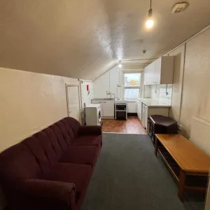 Private Living Room and Bedroom for Rent - Image 4