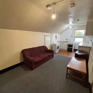 Private Living Room and Bedroom for Rent