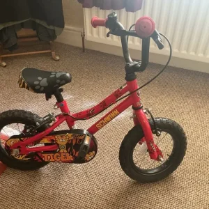 Schwinn Tiger Kids Bicycle