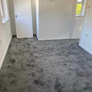 Carpet and laminate flooring - Image 2