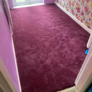 Carpet and laminate flooring - Image 4