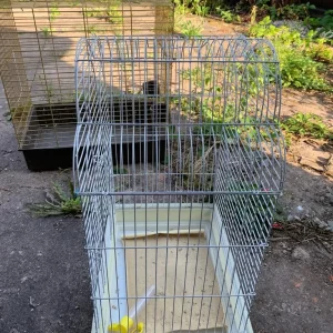 Big bird cage - Image 2
