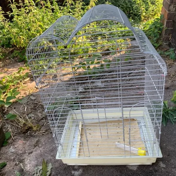 Big bird cage