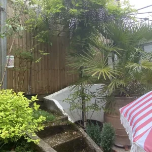 Wisterias on Bamboo Roof Frames - Image 3