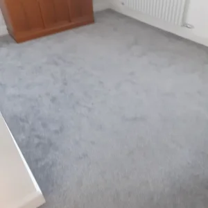 Carpet & Underlay - Image 5