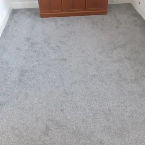 Carpet & Underlay