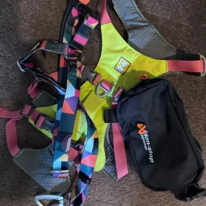 Harness, car harness, training bag